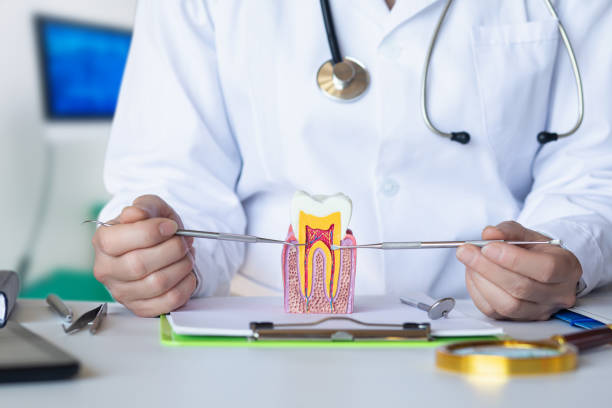Best Emergency Dental Care for Broken or Chipped Teeth in West Jefferson, NC